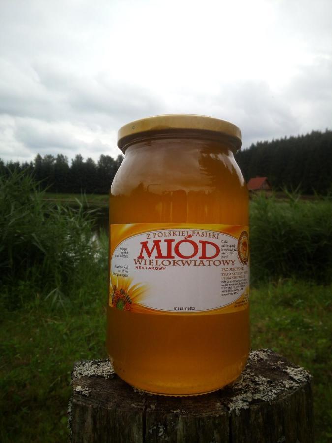 Hexagon Honey House+ Prywatna Plaza+Jezioro+ Stawy+ Gospodarstwo+ Pasieka Srokowo Bagian luar foto
